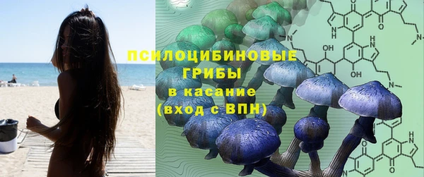 каннабис Корсаков