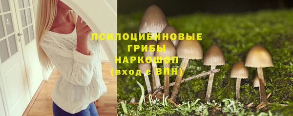 mdpv Костерёво