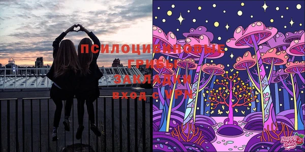 каннабис Корсаков