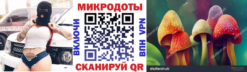 Купить закладки  Белореченск  Галлюциногенные грибы Magic Shrooms 